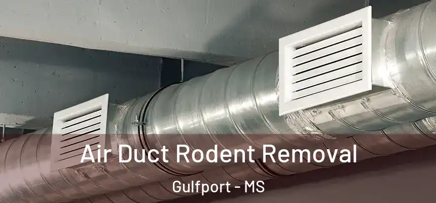 Air Duct Rodent Removal Gulfport - MS