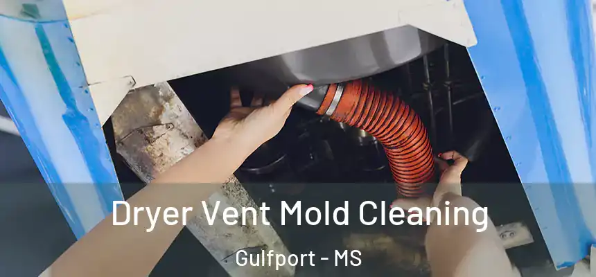 Dryer Vent Mold Cleaning Gulfport - MS