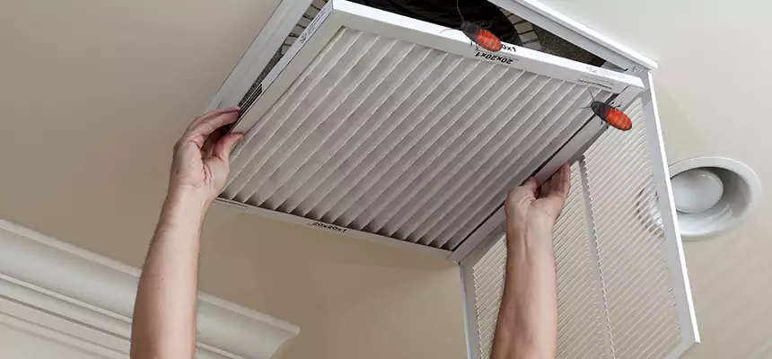 Preventive Cockroach-Proofing for Ducts in Gulfport