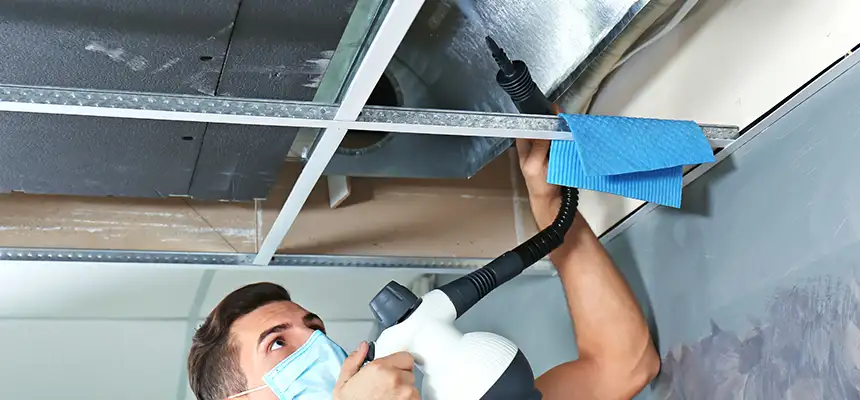 Our Air Duct Rodent Removal Services in Gulfport, MS