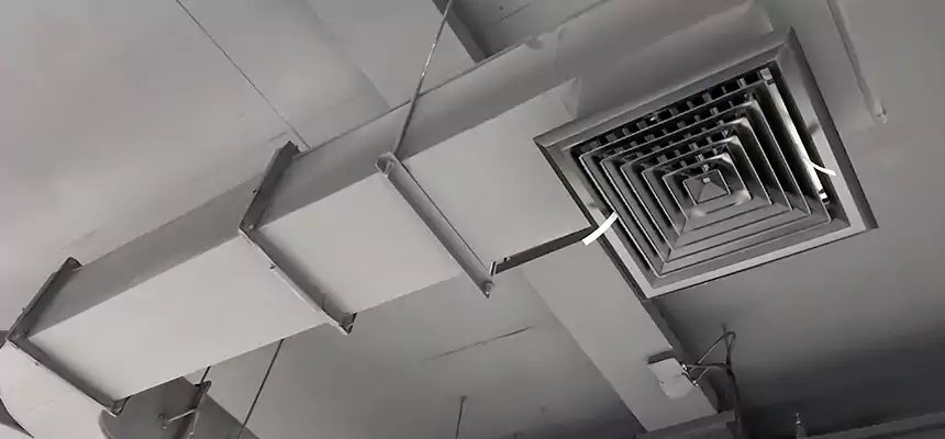 Restorative Allergy Relief Vent Cleaning – Coil, Blower & Housing Detail in Gulfport