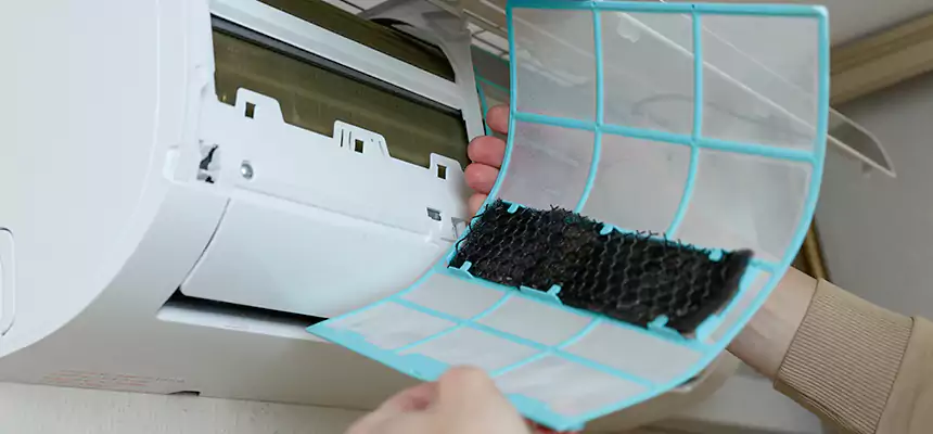 Gentle Ductwork Odor-Control Pet Dander Duct Cleaning in Gulfport, MS