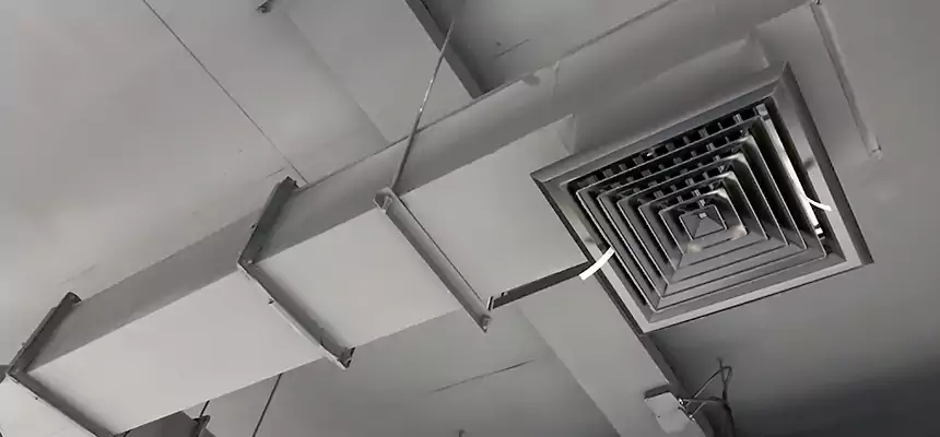 Our Rodent Droppings In Vents Services in Gulfport, MS