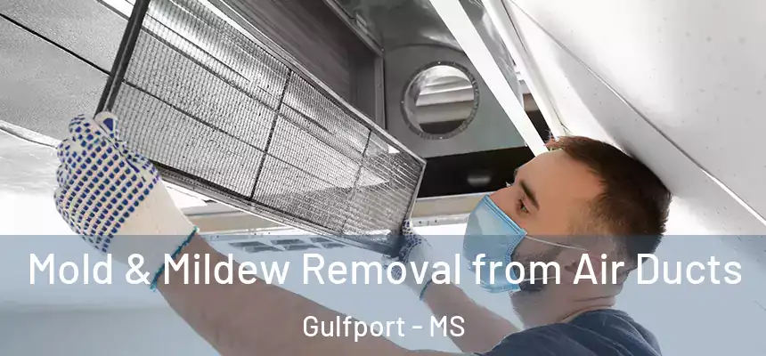 Mold & Mildew Removal from Air Ducts Gulfport - MS