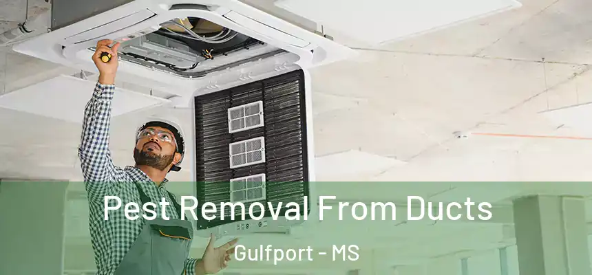 Pest Removal From Ducts Gulfport - MS