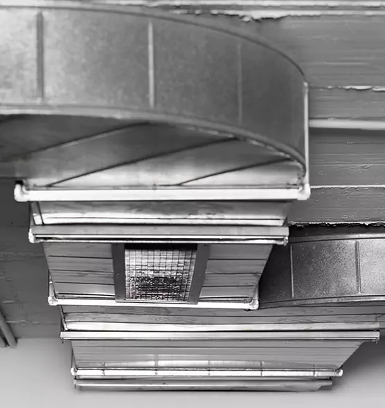 Professional Air Duct Pest Removal in Gulfport, MS