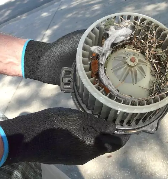 About Air Duct Rat Removal in Gulfport, MS