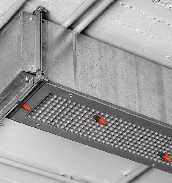 Affordable Insect Removal from Air Ducts in Gulfport, MS