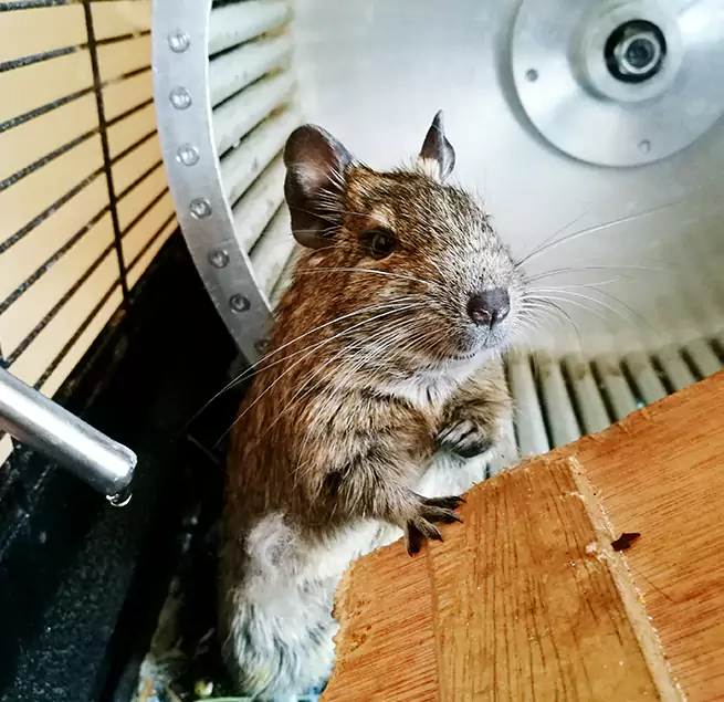 Why Homeowners & Businesses Trust Us Gulfport, MS?